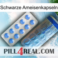 Black Ant Capsules 40